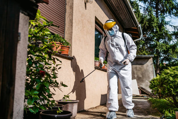 Best Affordable Pest Control Services  in Andover, KS
