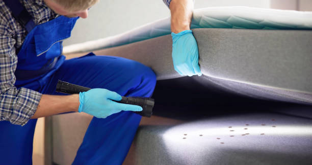 Best Flea Control Services  in Andover, KS