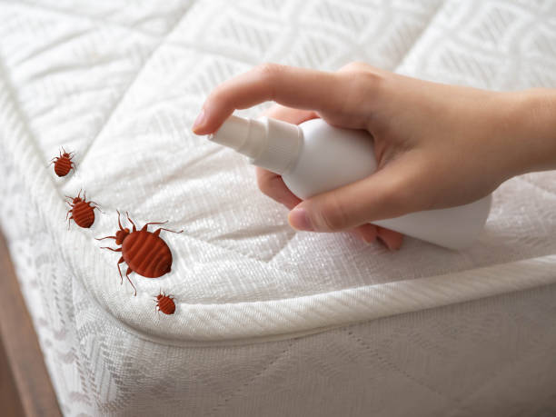 Best Pest Prevention Services  in Andover, KS