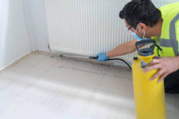 Pest Control for Restaurants in Andover, KS